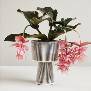 PLINTH Pots Set Of 2 - Beige/Black by HUBSCH (hubsch-plinth-pots-beige-blac)