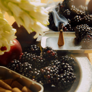 Incense Cones | Jardin De La Lune by EARL OF EAST (incense-cones-jardin-de-la-lune)