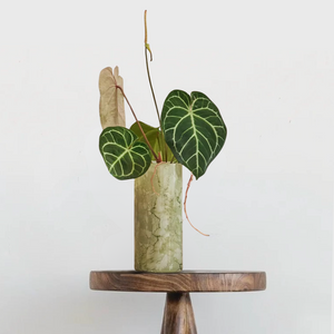 Linn Vase | Green by URBAN NATURE CULTURE (linn-vase-green)