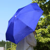 Anatole Micro Umbrella | Marguerite/Royal Blue