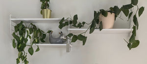 Bloomingville North Shelf | White by BLOOMINGVILLE (bloomingville-north-shelf-white)