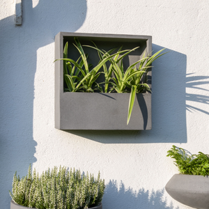Jack Wally Wall Planter XS | Grey by POTTERY POTS (jack-wally-wall-planter-xs-grey)