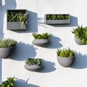Jack Wally Wall Planter XS | Matte Black by POTTERY POTS (jack-wally-wall-planter-xs-black)