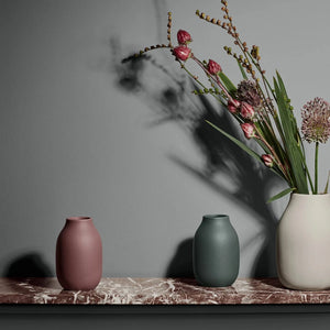 COLORA Vase S - Agave Green by BLOMUS (blomus-colora-vase-agave-green-small)