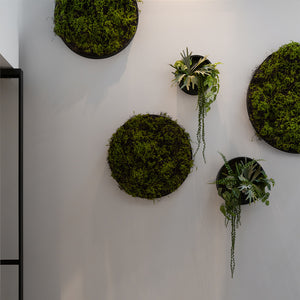 WALLY Wall Planter XS 30cm | Matte Black by POTTERY POTS (pottery-pots-wally-hanging-xs-fiberstone-o-30-00-black)