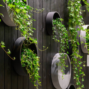 WALLY Wall Planter XS 30cm | Matte Black by POTTERY POTS (pottery-pots-wally-hanging-xs-fiberstone-o-30-00-black)