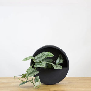 WALLY Wall Planter XS 30cm | Matte Black by POTTERY POTS (pottery-pots-wally-hanging-xs-fiberstone-o-30-00-black)