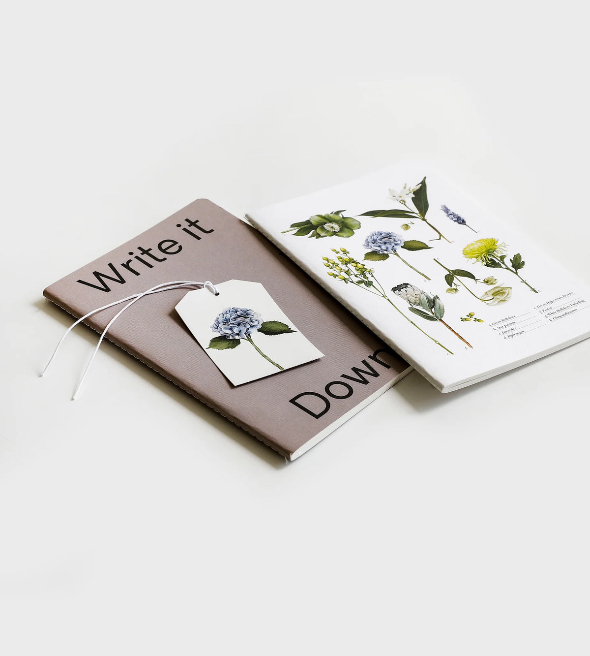 Notebook | Write it down by LETTUCE (notebook-write-it-down)