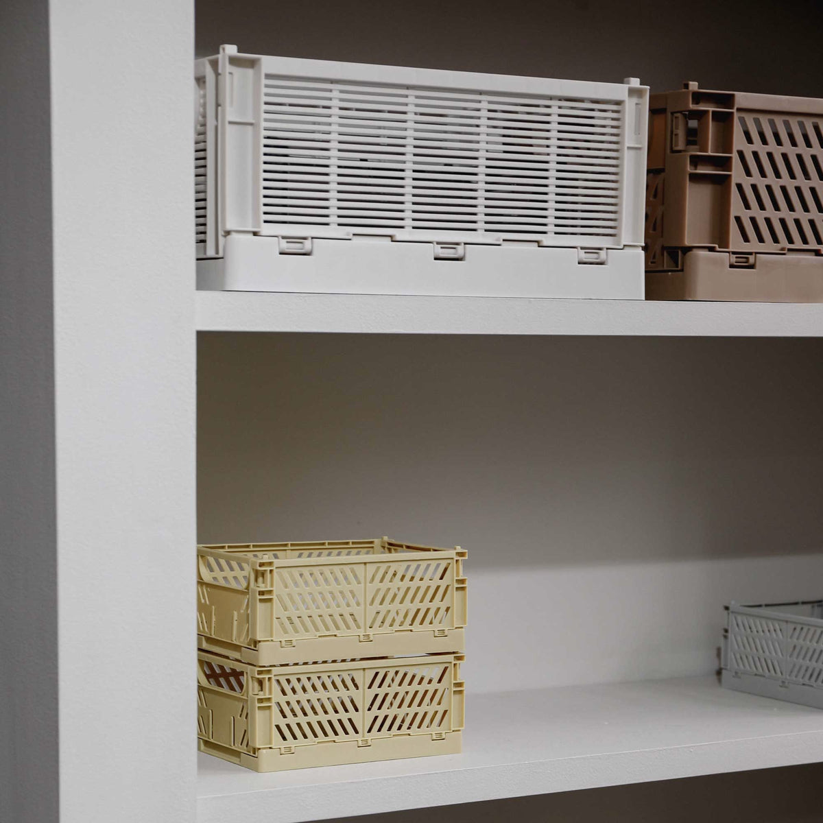 Slant Collapsible Crate | L | 50 x 33cm | Tuscany by DESIGNSTUFF (slant-collapsible-crate-l-50-x-33cm-tuscany)