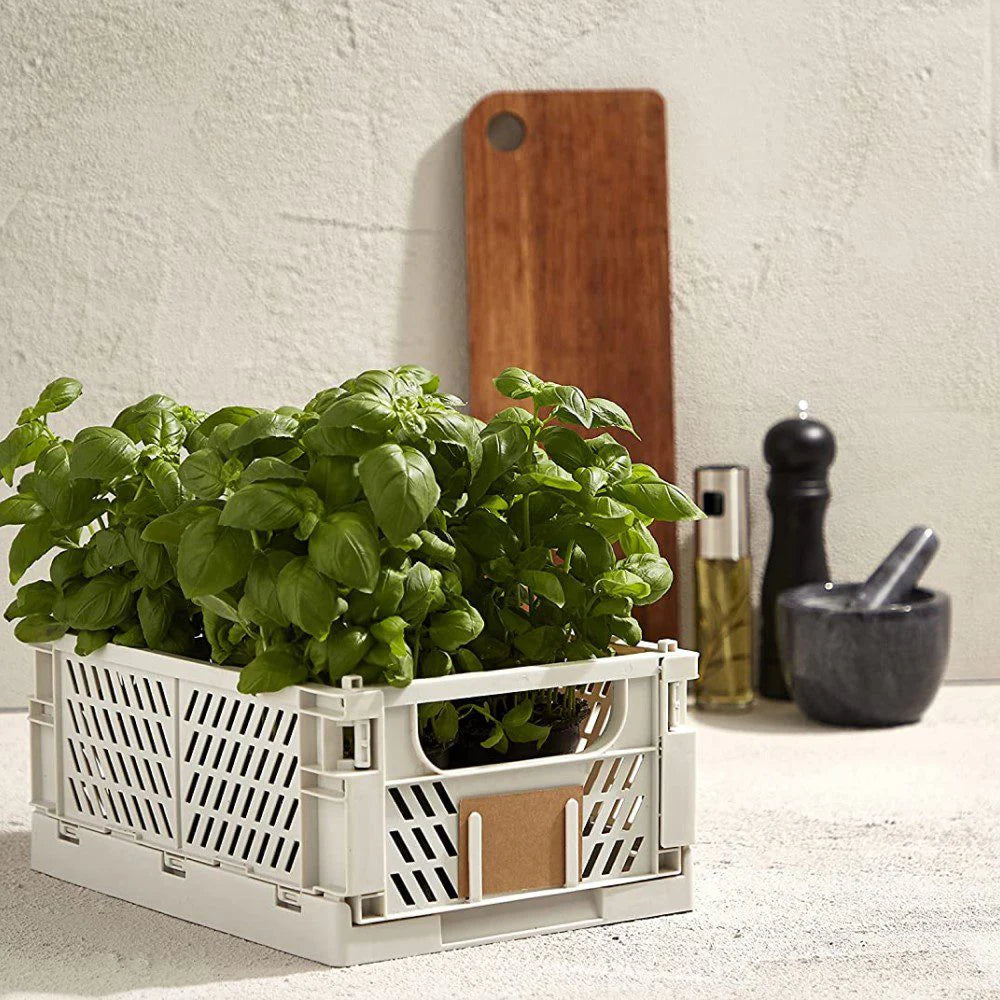 Slant Collapsible Crate | L | 50 x 33cm | Taupe by DESIGNSTUFF (slant-collapsible-crate-l-50-x-33cm-taupe)