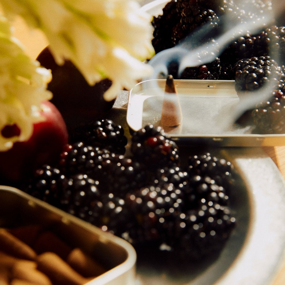 Incense Cones | Jardin De La Lune by EARL OF EAST (incense-cones-jardin-de-la-lune)