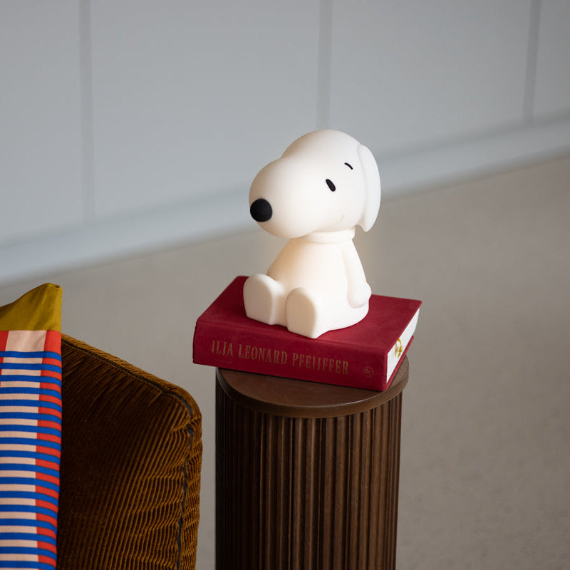 Snoopy Bundle of Light