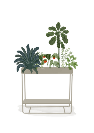 Plant Box Two-Tier | Cashmere