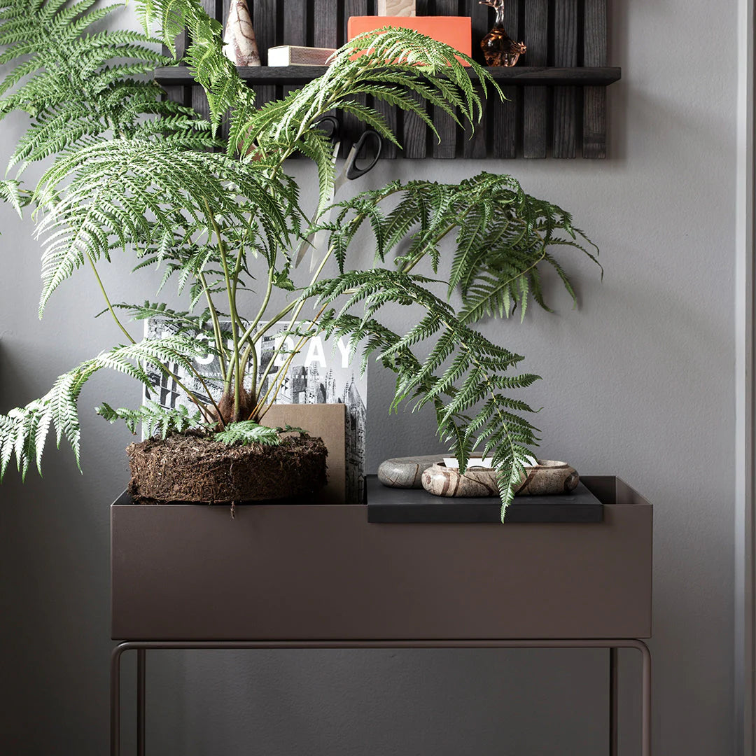 Plant Box | Taupe by FERM LIVING (plant-box-taupe)