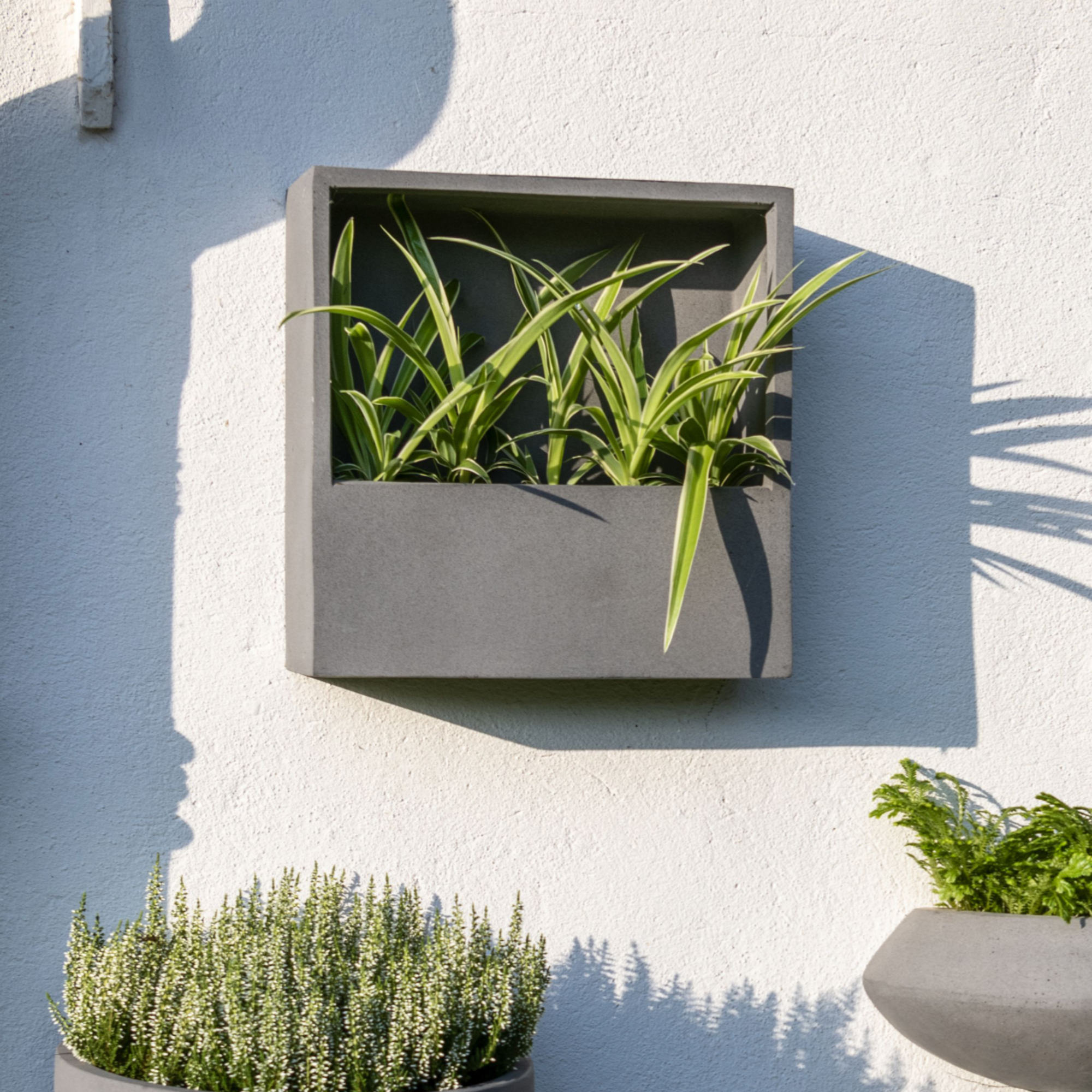 Jack Wally Wall Planter XS | Grey