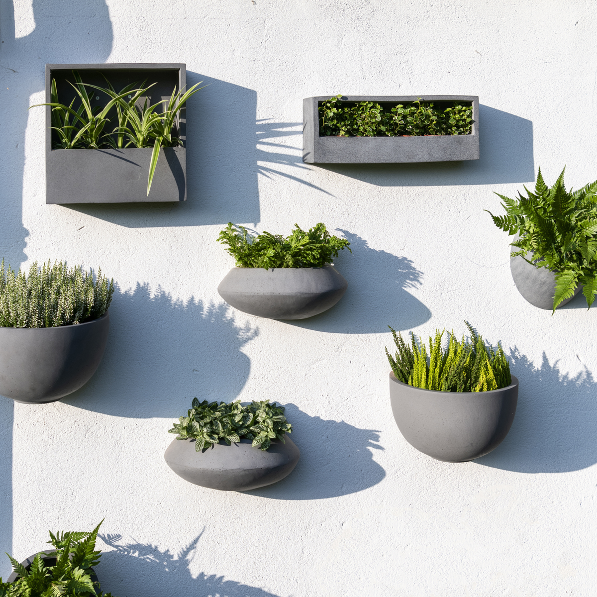 Jack Wally Wall Planter XS | Matte Black by POTTERY POTS (jack-wally-wall-planter-xs-black)