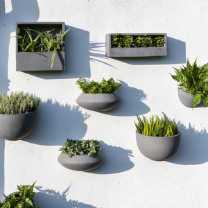 Jack Wally Wall Planter XS | Black