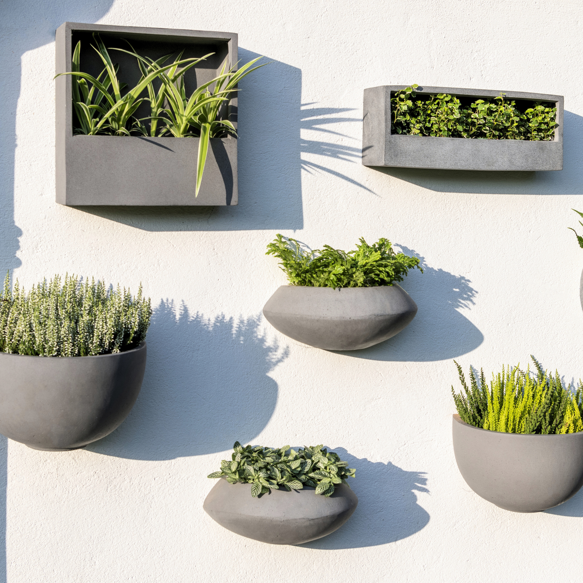 Balcony Low Wall Planter XS | Grey by POTTERY POTS (wally-balcony-low-wally-xs-grey-1)