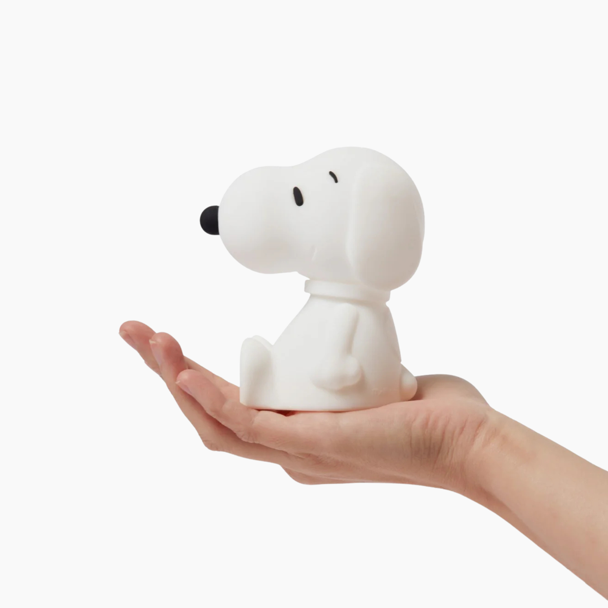 Snoopy Bundle of Light