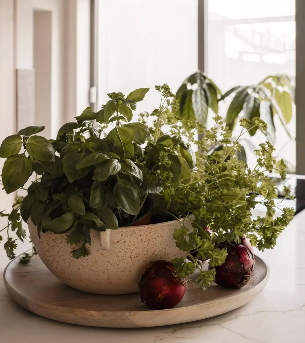 Serving Tray | Mango Wood by URBAN NATURE CULTURE (serving-tray-mango-wood)