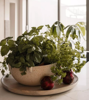 Serving Tray | Mango Wood by URBAN NATURE CULTURE (serving-tray-mango-wood)