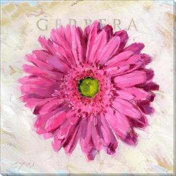 Gygi Pink Gerbara Canvas Wall Art, Medium