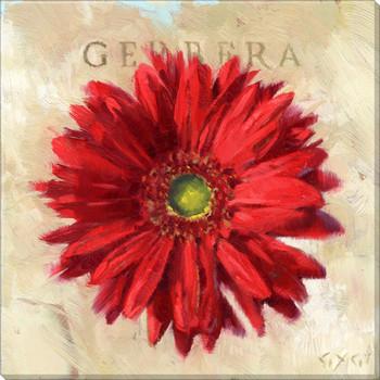 Gygi Red Gerbara Canvas Wall Art, Small