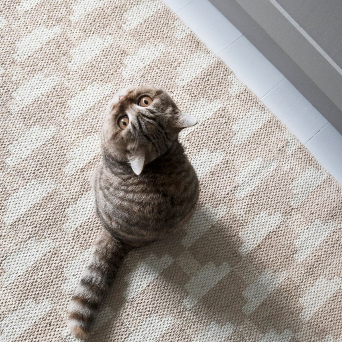 CONFECT Indoor/Outdoor Rug 150X220 | Vanilla by BRITA (brita-confect-vanilla-150x220)