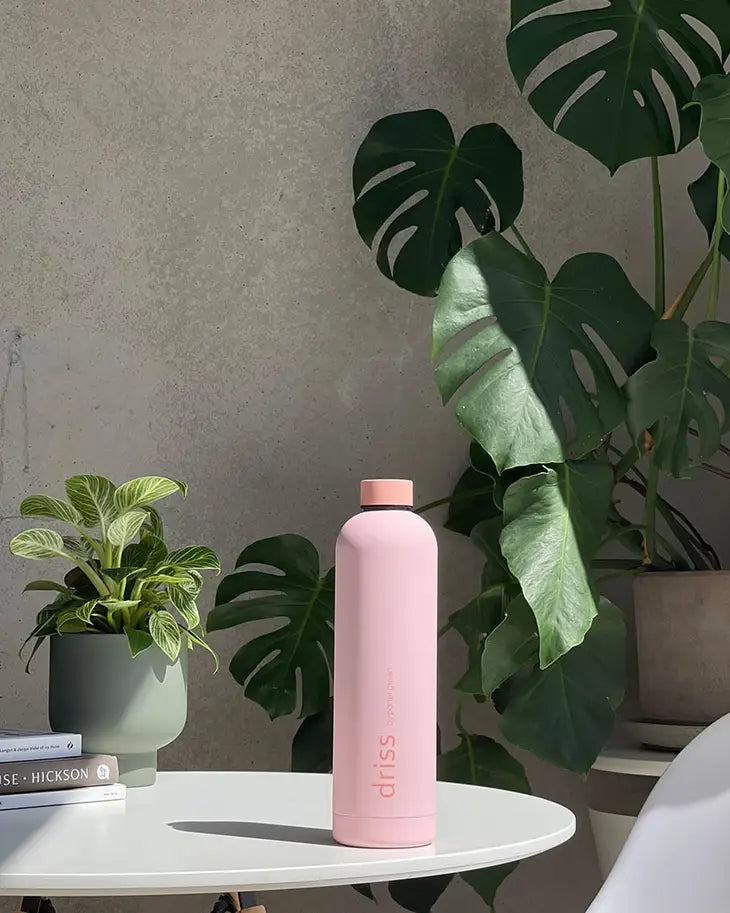 DRISS Insulated Stainless Steel Bottle - Peach/Petal
