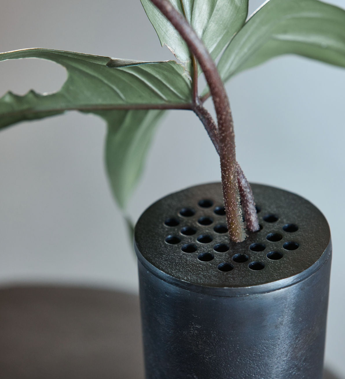 FLOW Vase | Browned Brass by HOUSE DOCTOR (house-doctor-vase-flow-browned-brass)