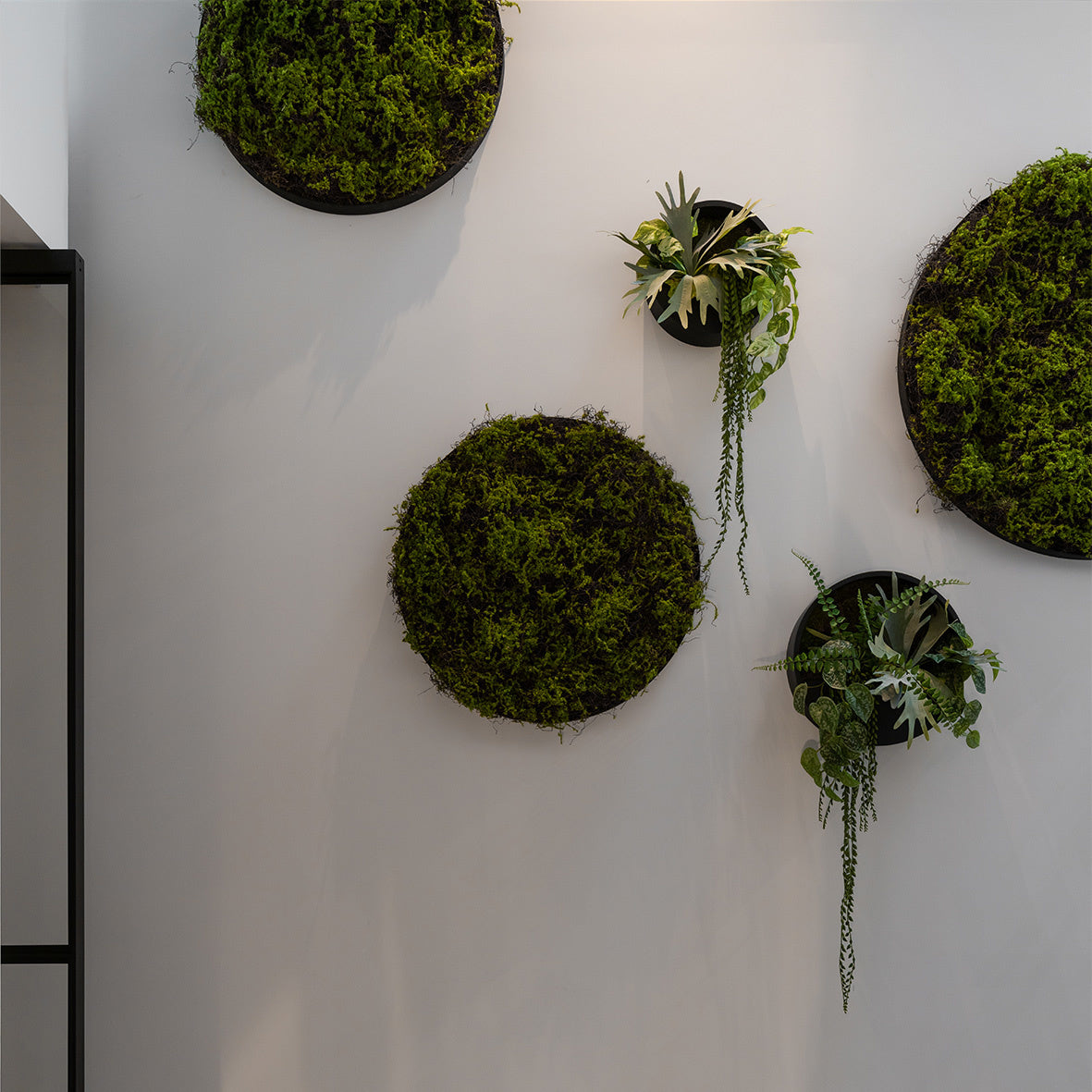 WALLY Wall Planter XS 30cm | Matte Black by POTTERY POTS (pottery-pots-wally-hanging-xs-fiberstone-o-30-00-black)