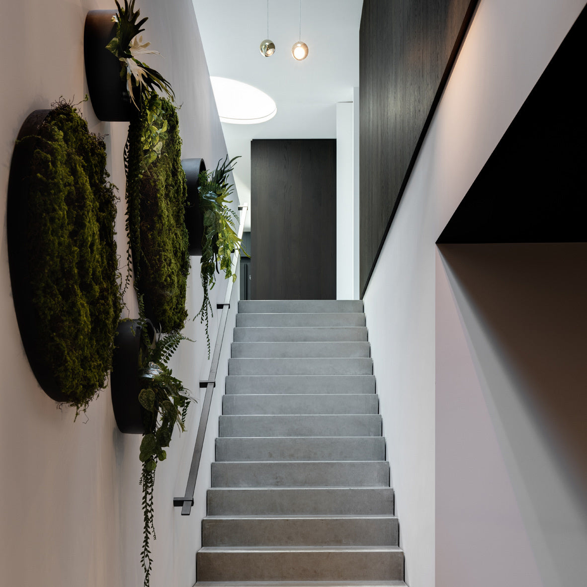 WALLY Wall Planter M 50cm | Matte Black by POTTERY POTS (pottery-pots-wally-hanging-m-fiberstone-o-50-00-black)